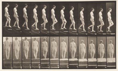 Planche 129. Descendre des escaliers, mains jointes - Eadweard Muybridge