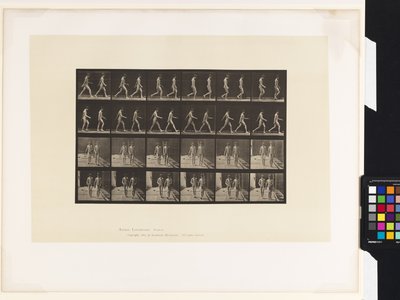Planche 12. Marche - Eadweard Muybridge