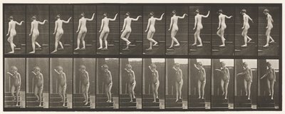 Planche 132. Descendre les escaliers, se tourner pour regarder autour et agiter la main - Eadweard Muybridge