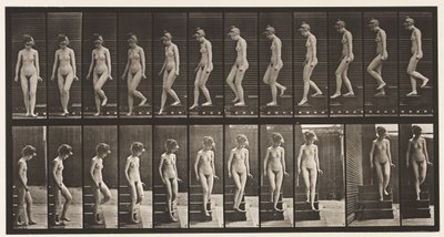 Planche 137. Descendre les escaliers, se retourner - Eadweard Muybridge