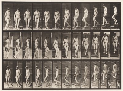 Planche 138. Descendre les escaliers en tournant; pichet dans la main gauche - Eadweard Muybridge