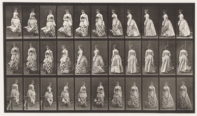 Planche 139. Descente des escaliers en tournant - Eadweard Muybridge