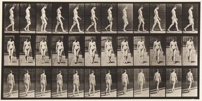 Planche 13. Marche, 1872-1885 - Eadweard Muybridge