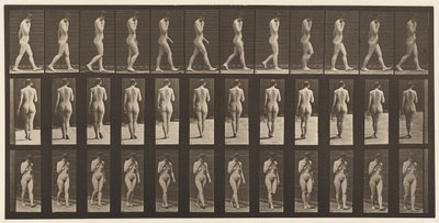 Planche 14. Marche, main droite au menton, 1872-1885 - Eadweard Muybridge