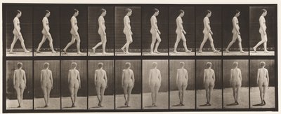 Planche 15. Marcher - Eadweard Muybridge