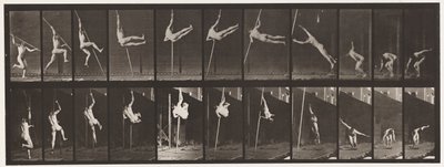 Saut; Saut à la perche, 1872-1885 - Eadweard Muybridge