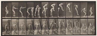 Saut; Par-dessus le dos d