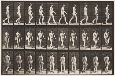 Marcher, 1872-1885 - Eadweard Muybridge