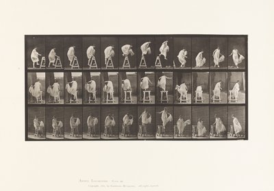 Monter sur un Chevalet; Sauter en Bas, Tourner, 1885 - Eadweard Muybridge