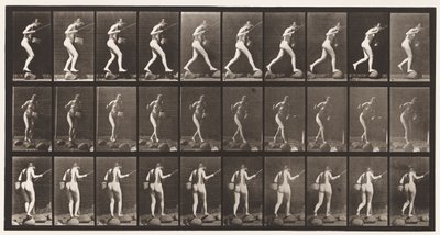 Plaque 176. Traverser un ruisseau sur des pierres avec une canne à pêche et un panier - Eadweard Muybridge