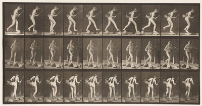 Planche 177. Traverser un ruisseau sur des pierres avec une canne à pêche et un panier - Eadweard Muybridge