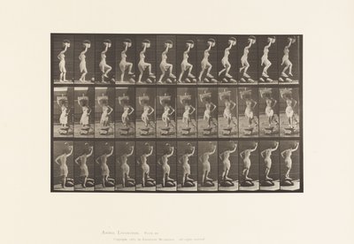 Planche 179. Marcher sur et par-dessus une pierre, un panier sur la tête - Eadweard Muybridge