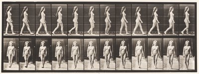 Planche 17. Marcher, 1872-1885 - Eadweard Muybridge