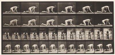 Planche 182. Ramper sur les mains et les genoux - Eadweard Muybridge