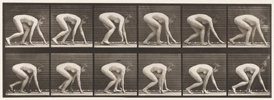 Planche 183. Marcher sur les mains et les pieds - Eadweard Muybridge