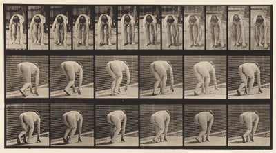 Planche 184. Marcher sur les mains et les pieds - Eadweard Muybridge