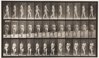 Planche 18. Marche, main gauche sur l