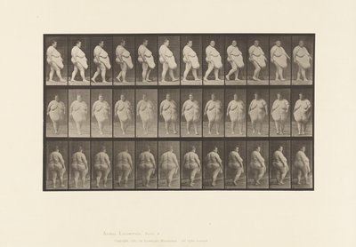 Planche 19. Marche, Commence à Se Retourner - Eadweard Muybridge