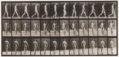Planche 1. Marche - Eadweard Muybridge