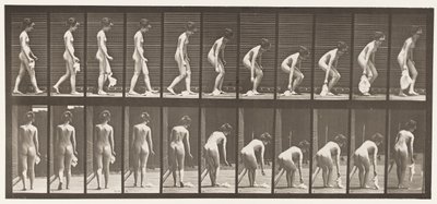 Planche 202. Laisser tomber et ramasser un mouchoir - Eadweard Muybridge