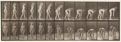 Planche 204. S