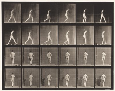 Planche 20. Marche, coude droit plié - Eadweard Muybridge