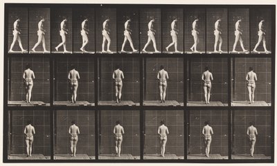 Planche 21. Marche, les deux coudes pliés - Eadweard Muybridge