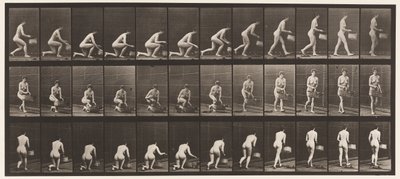 Planche 251. S