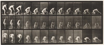 Planche 252. Agenouillé sur le genou droit et frottant le sol, 1872-1885 - Eadweard Muybridge
