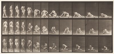 Planche 256. Allongé sur le sol et lisant, 1872-1885 - Eadweard Muybridge