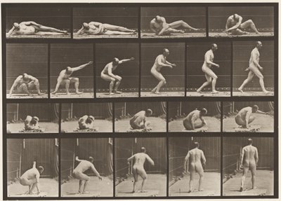 Planche 258. Se lever du sol et partir - Eadweard Muybridge
