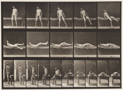 Planche 259. Allongé sur un canapé et se retournant sur le côté, 1885 - Eadweard Muybridge