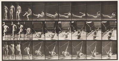 Planche 261. Entrer dans un hamac - Eadweard Muybridge