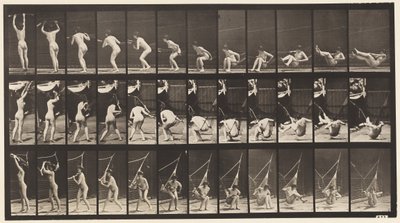 Planche 262. Sortir d