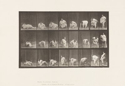 Planche 268. Se lever du sol - Eadweard Muybridge