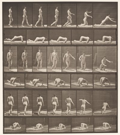 Planche 272. Trébucher et tomber au sol - Eadweard Muybridge