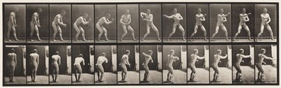 Planche 285. Base-ball; Attraper et lancer - Eadweard Muybridge