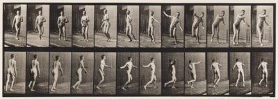 Planche 289. Cricket ; lancer à bras rond, 1885 - Eadweard Muybridge
