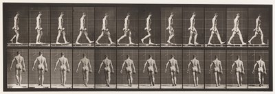 Marche, portant un haltère de 50 lb dans la main droite, 1872-1885 - Eadweard Muybridge