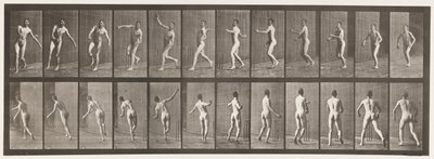 Cricket; Lancer par-dessus le Bras, 1885 - Eadweard Muybridge