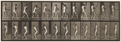 Cricket; Battre; Reculer, 1885 - Eadweard Muybridge