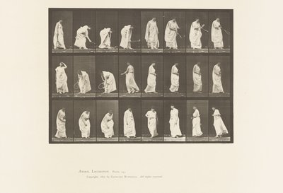 Planche 299. Jouer avec une Balle - Eadweard Muybridge