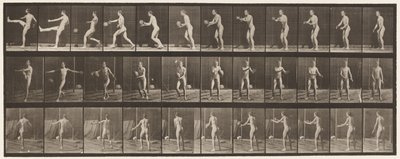 Planche 301. Football; Punt, 1885 - Eadweard Muybridge