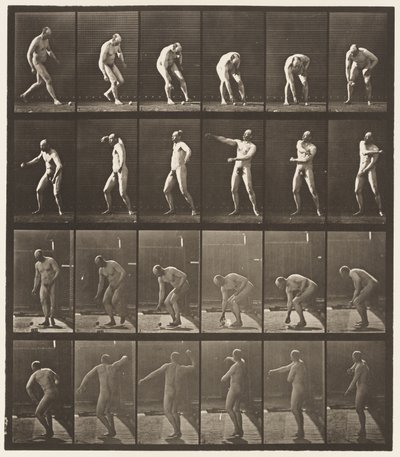 Planche 302. Ramasser une balle et la lancer, 1885 - Eadweard Muybridge