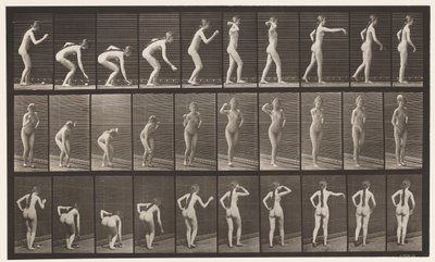 Plaque 304. Ramasser une balle et la lancer - Eadweard Muybridge