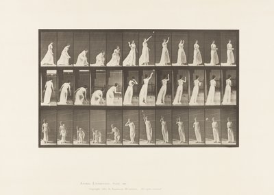 Ramasser une Balle et la Lancer, 1885 - Eadweard Muybridge