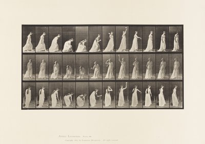 Planche 306. Ramasser une balle et la lancer - Eadweard Muybridge