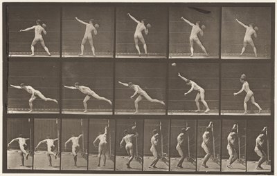 Planche 313. Soulever une pierre de 20 lb, 1885 - Eadweard Muybridge