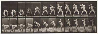 Soulever une Pierre de 75 lb, 1872-1885 - Eadweard Muybridge