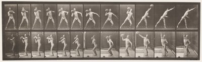 Plaque 319. Soulever une pierre de 75 lb - Eadweard Muybridge